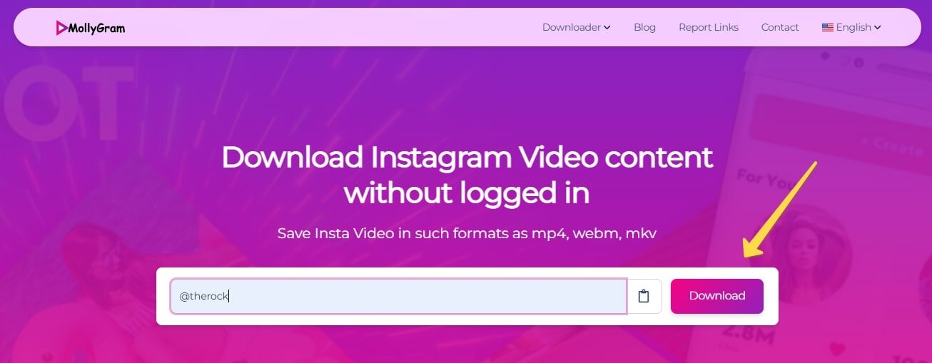 download video on Mollygram